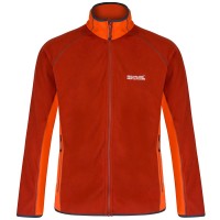 Regatta Forro Polar Ashton